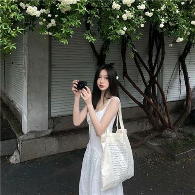 野探哈莉第四季